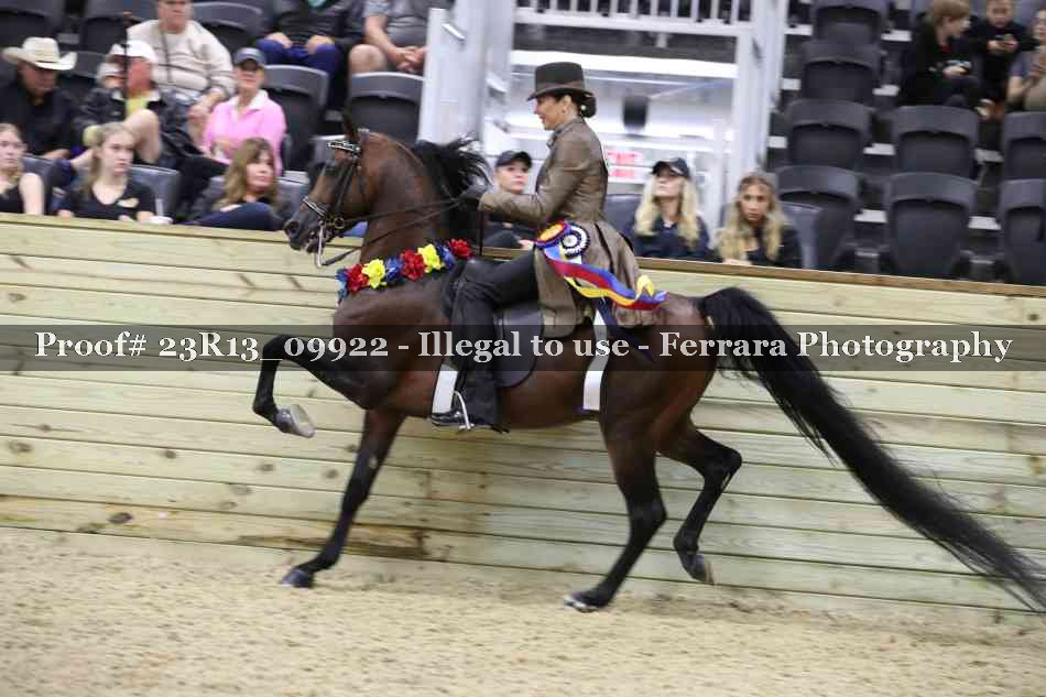 Proof 23R13_09922