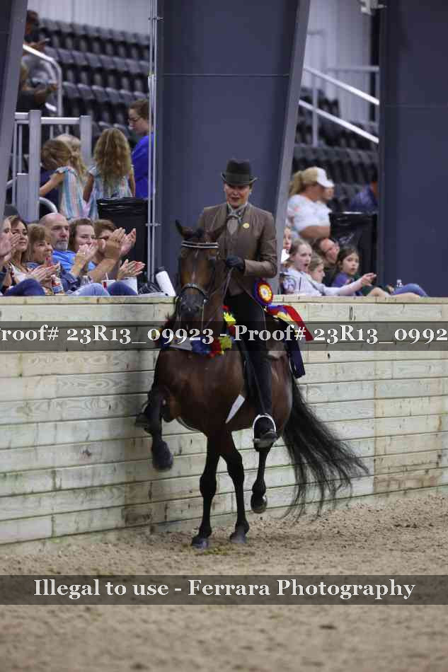 Proof 23R13_09923