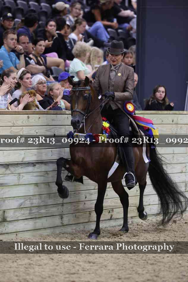 Proof 23R13_09924