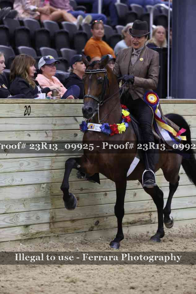 Proof 23R13_09925
