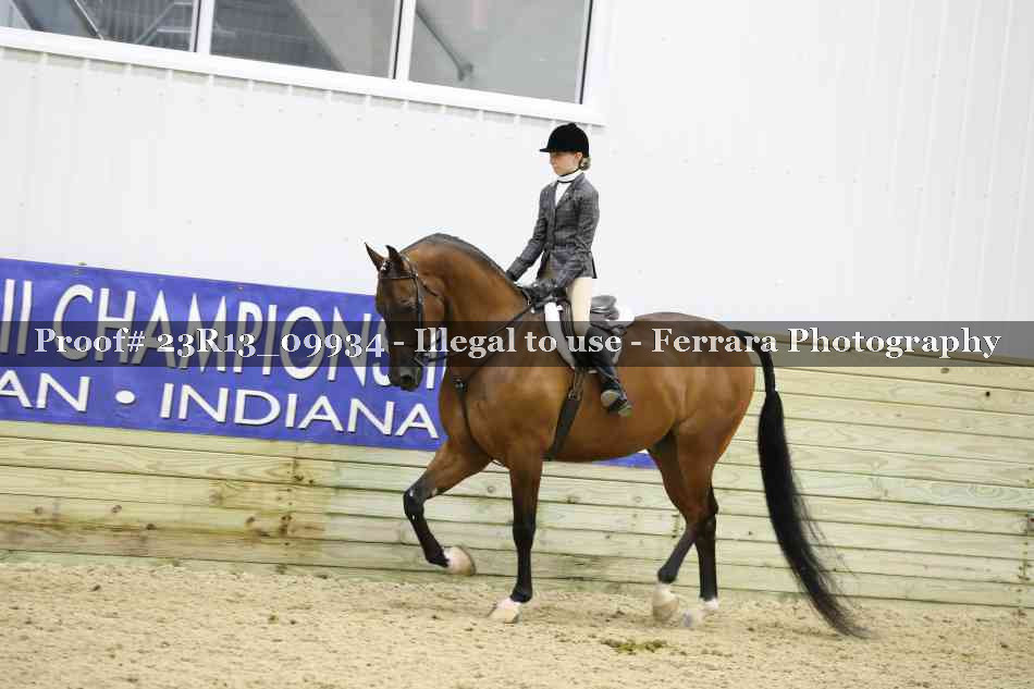 Proof 23R13_09934