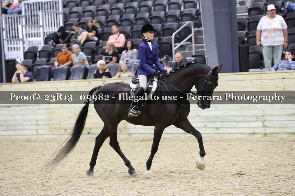 Proof 23R13_09982