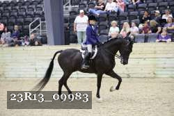 23R13_09983 proof