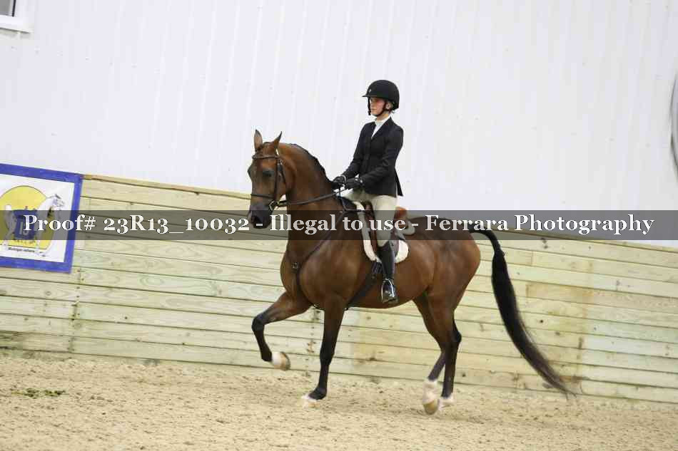 Proof 23R13_10032