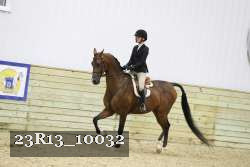23R13_10032 proof