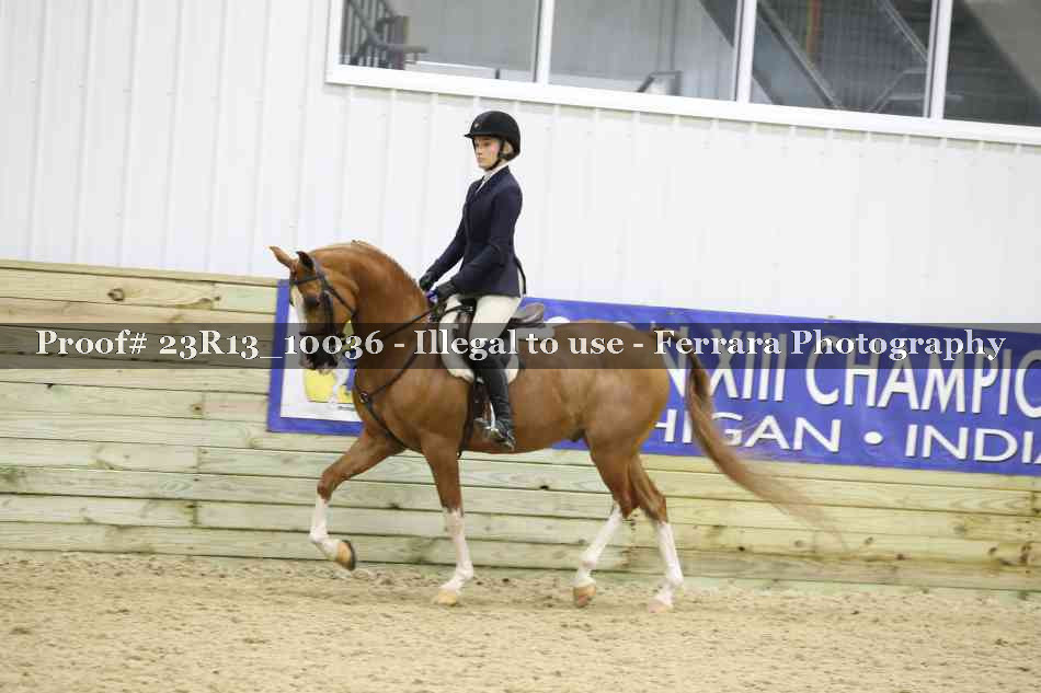 Proof 23R13_10036
