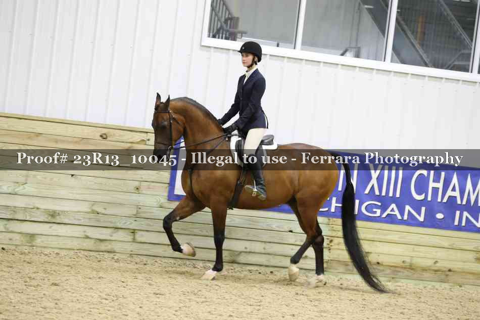 Proof 23R13_10045