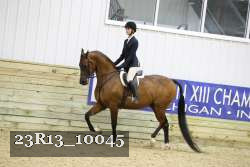 23R13_10045 proof