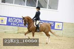 23R13_10060 proof