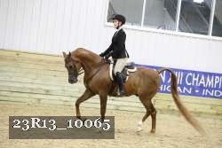 23R13_10065 proof