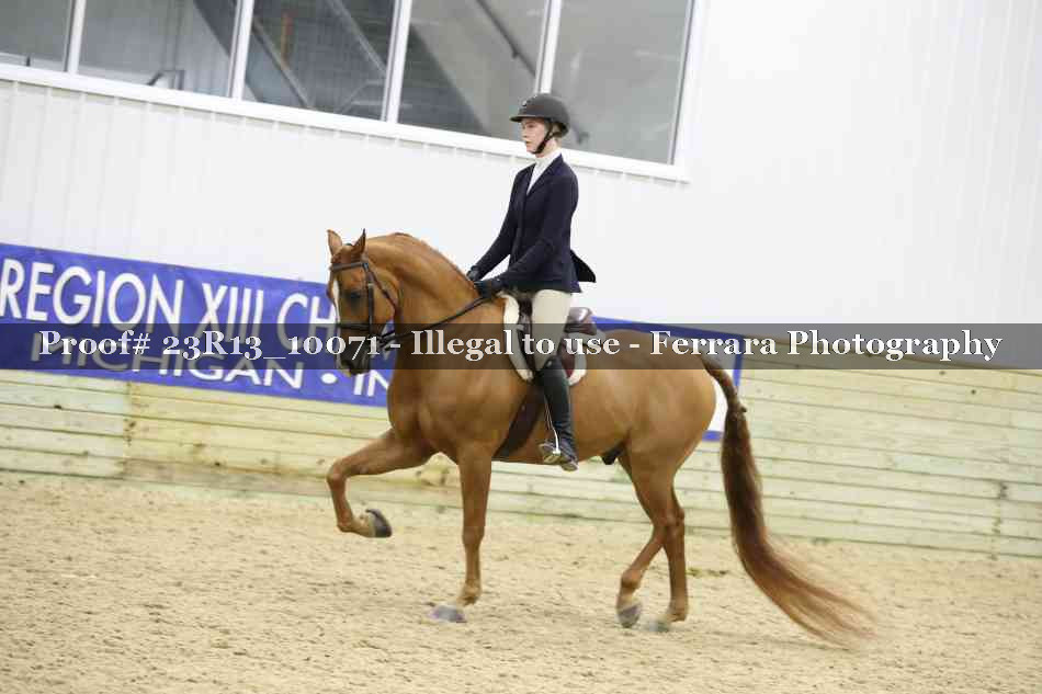 Proof 23R13_10071