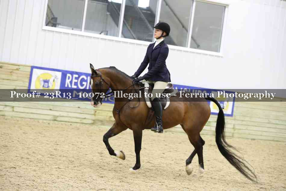 Proof 23R13_10072