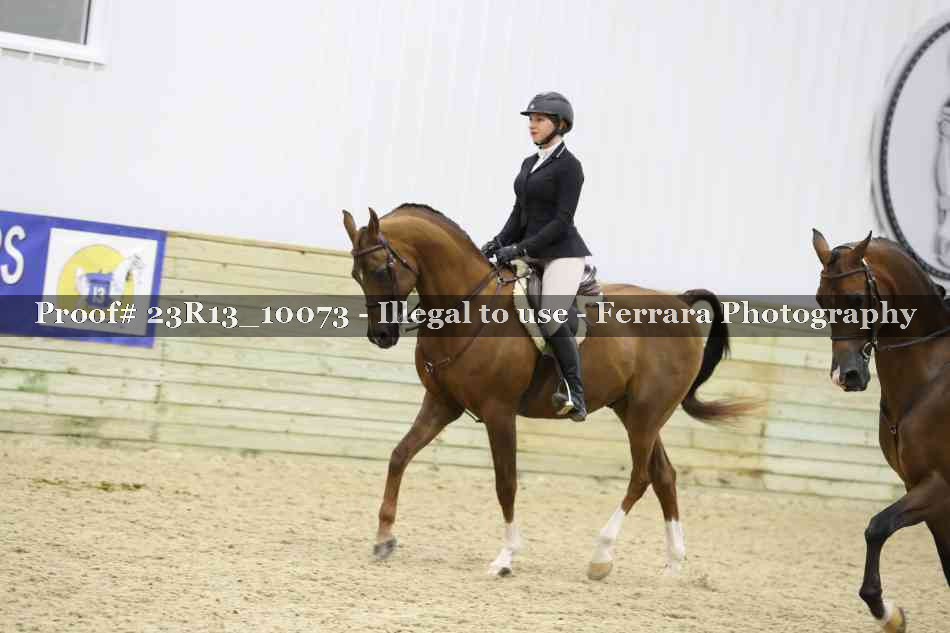Proof 23R13_10073