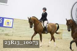 23R13_10073 proof