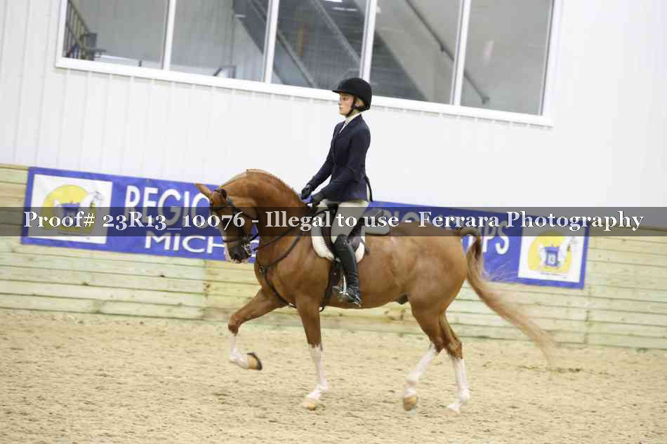 Proof 23R13_10076