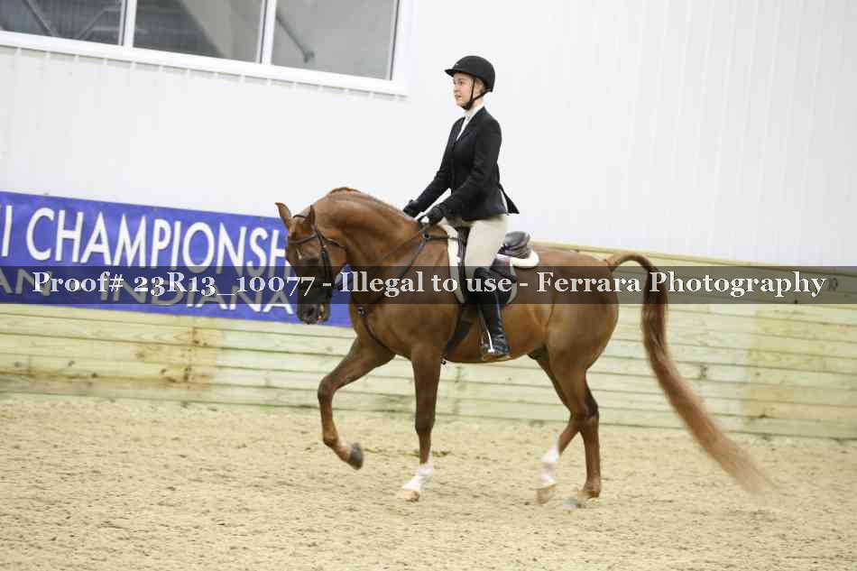 Proof 23R13_10077