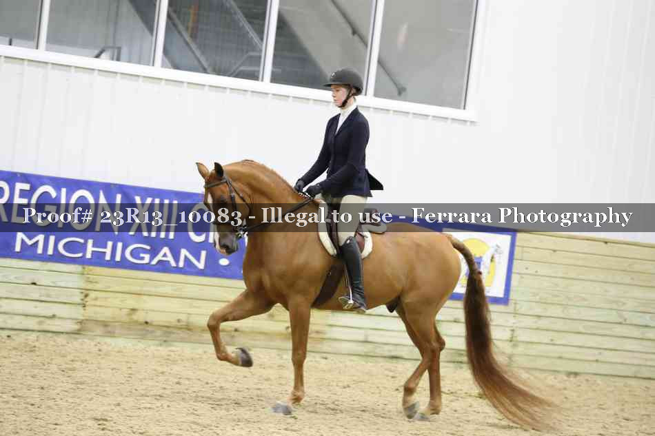 Proof 23R13_10083