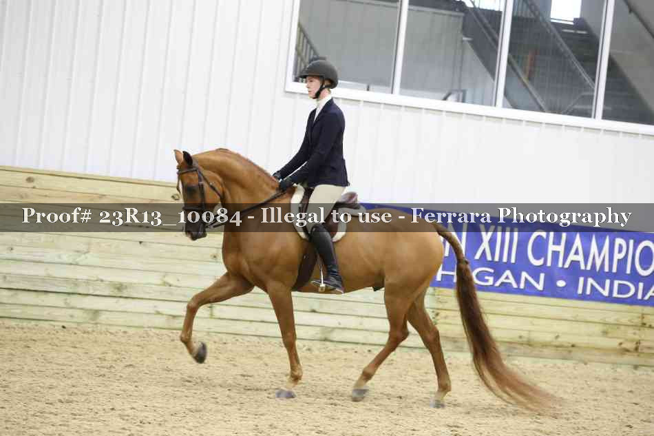 Proof 23R13_10084