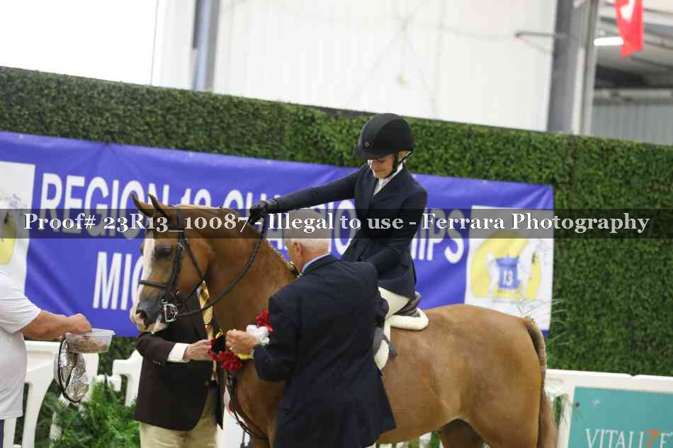 Proof 23R13_10087