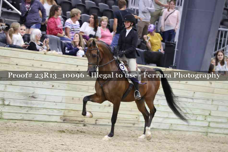 Proof 23R13_10096