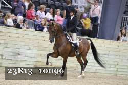 23R13_10096 proof