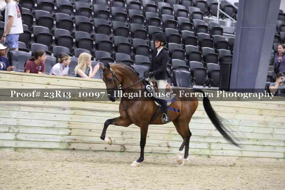 Proof 23R13_10097
