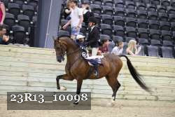 23R13_10098 proof