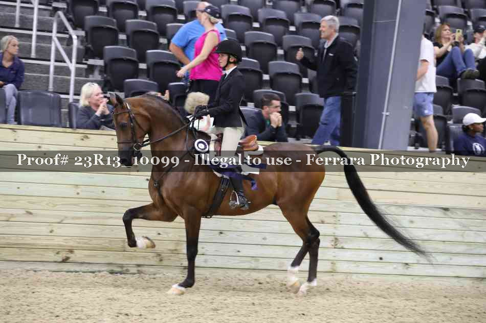 Proof 23R13_10099