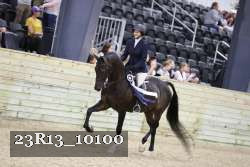 23R13_10100 proof