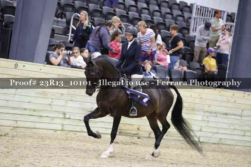 Proof 23R13_10101