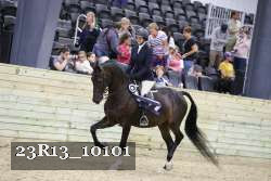 23R13_10101 proof