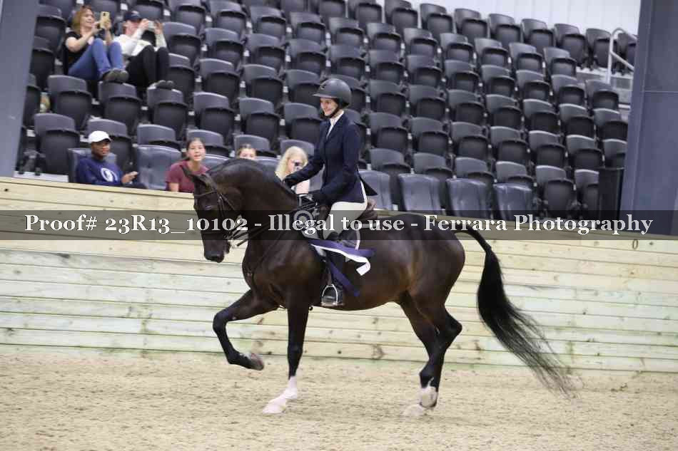 Proof 23R13_10102