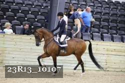 23R13_10107 proof