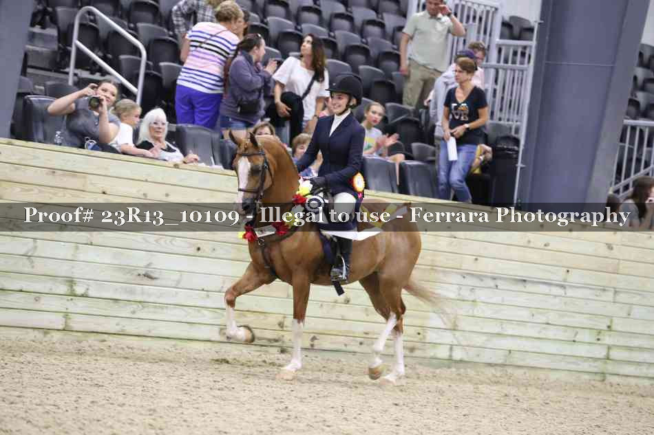 Proof 23R13_10109