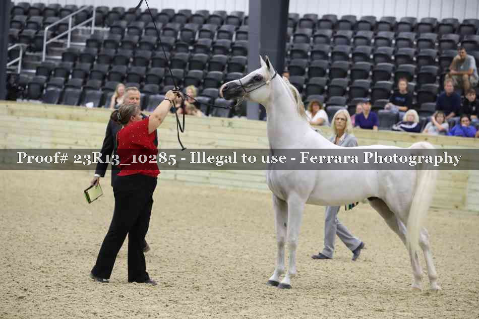 Proof 23R13_10285