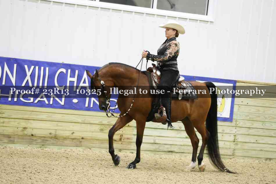 Proof 23R13_10325