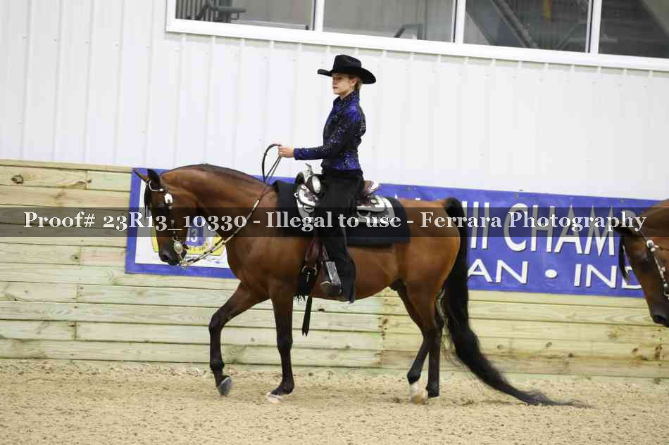 Proof 23R13_10330