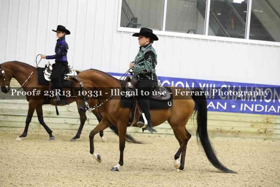 Proof 23R13_10331