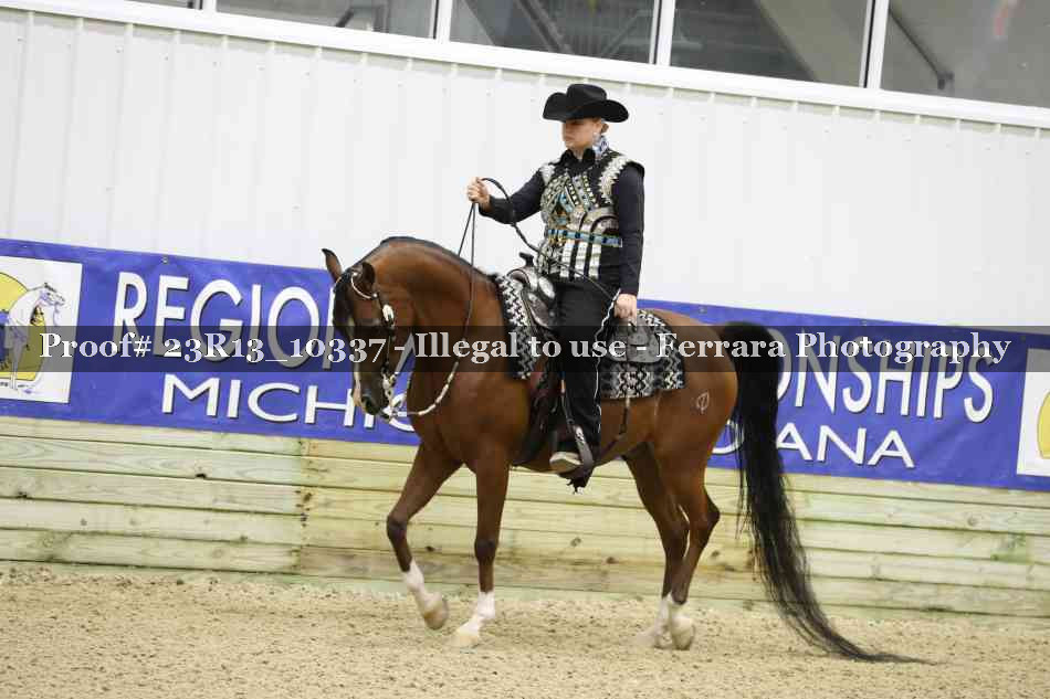 Proof 23R13_10337