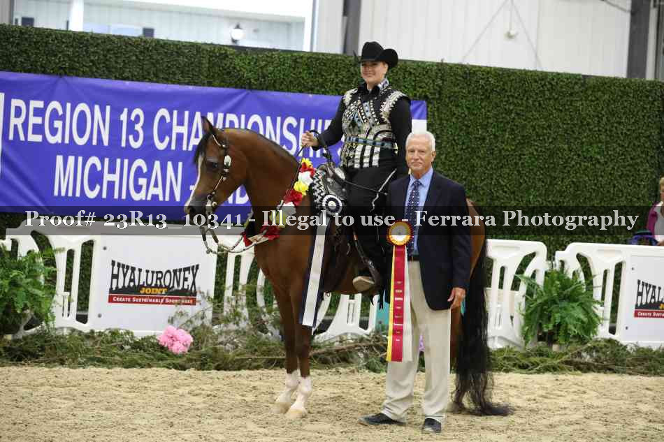 Proof 23R13_10341