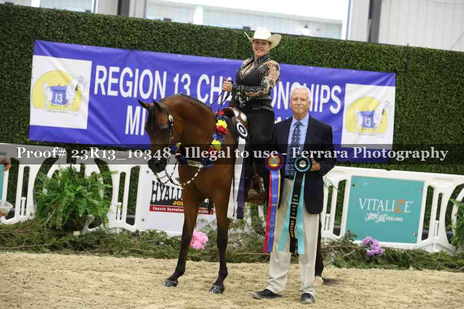Proof 23R13_10348