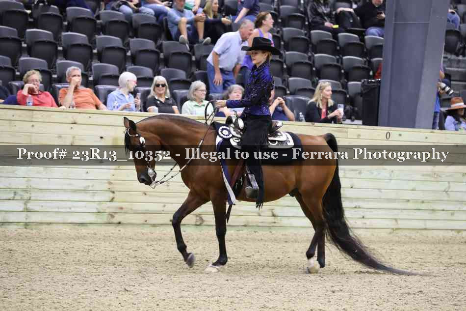 Proof 23R13_10352