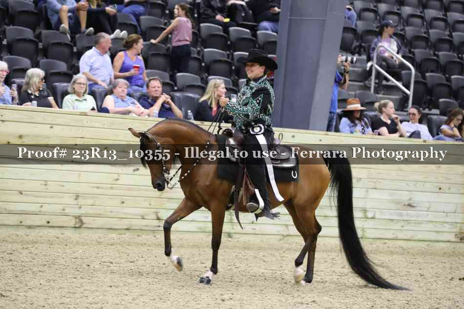 Proof 23R13_10355