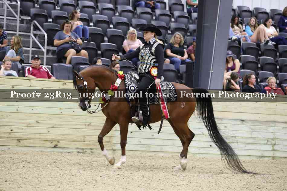 Proof 23R13_10366