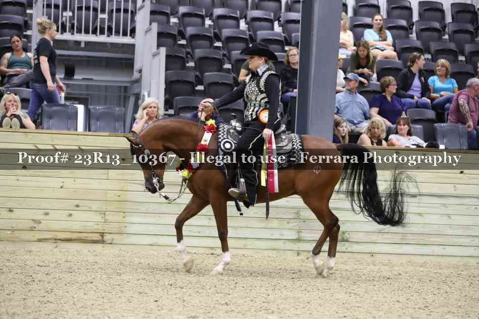 Proof 23R13_10367