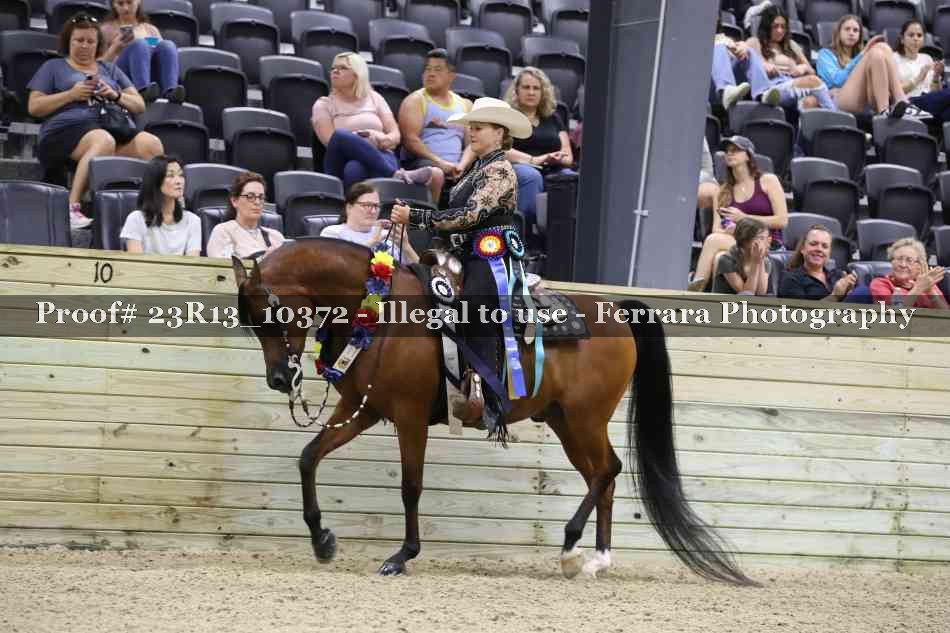Proof 23R13_10372