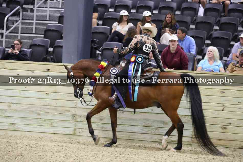Proof 23R13_10376