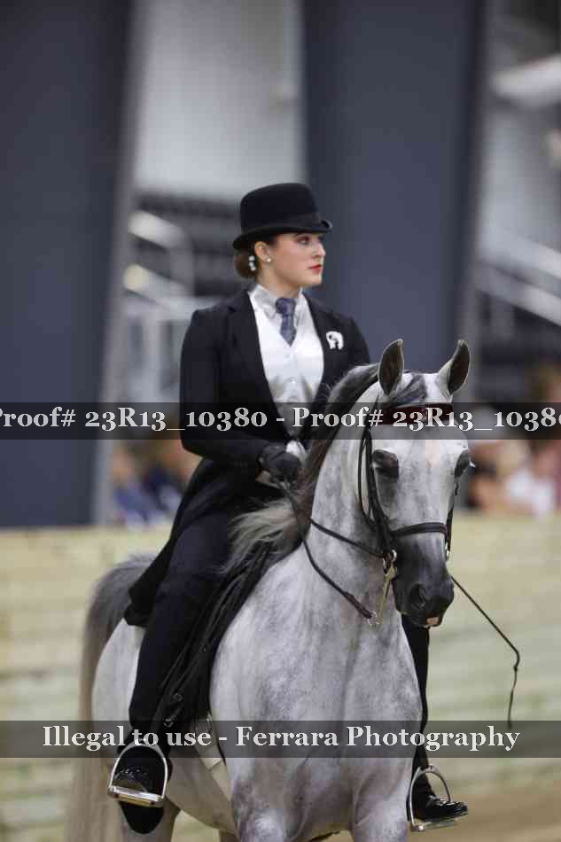 Proof 23R13_10380