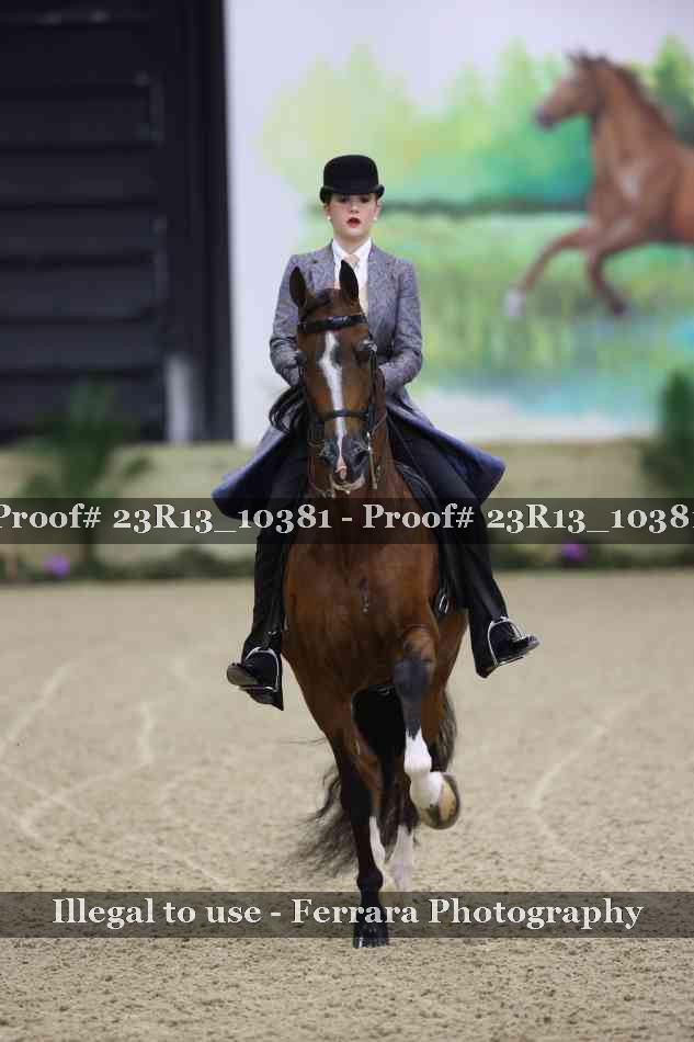 Proof 23R13_10381