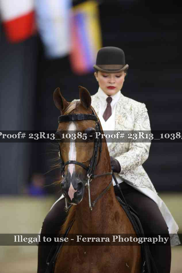 Proof 23R13_10385